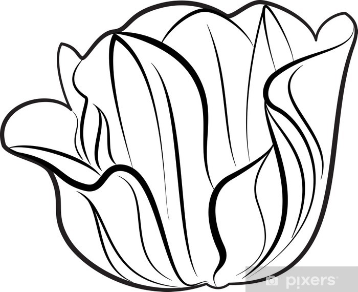 Detail Silhouette Blume Nomer 24