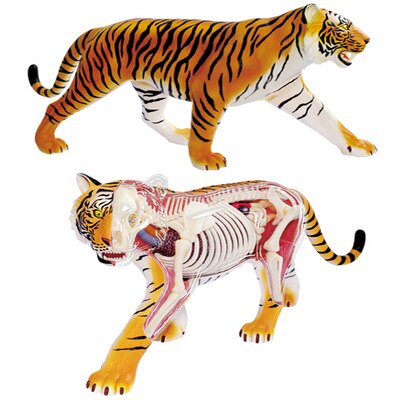 Detail Tiger Intelligence Nomer 3