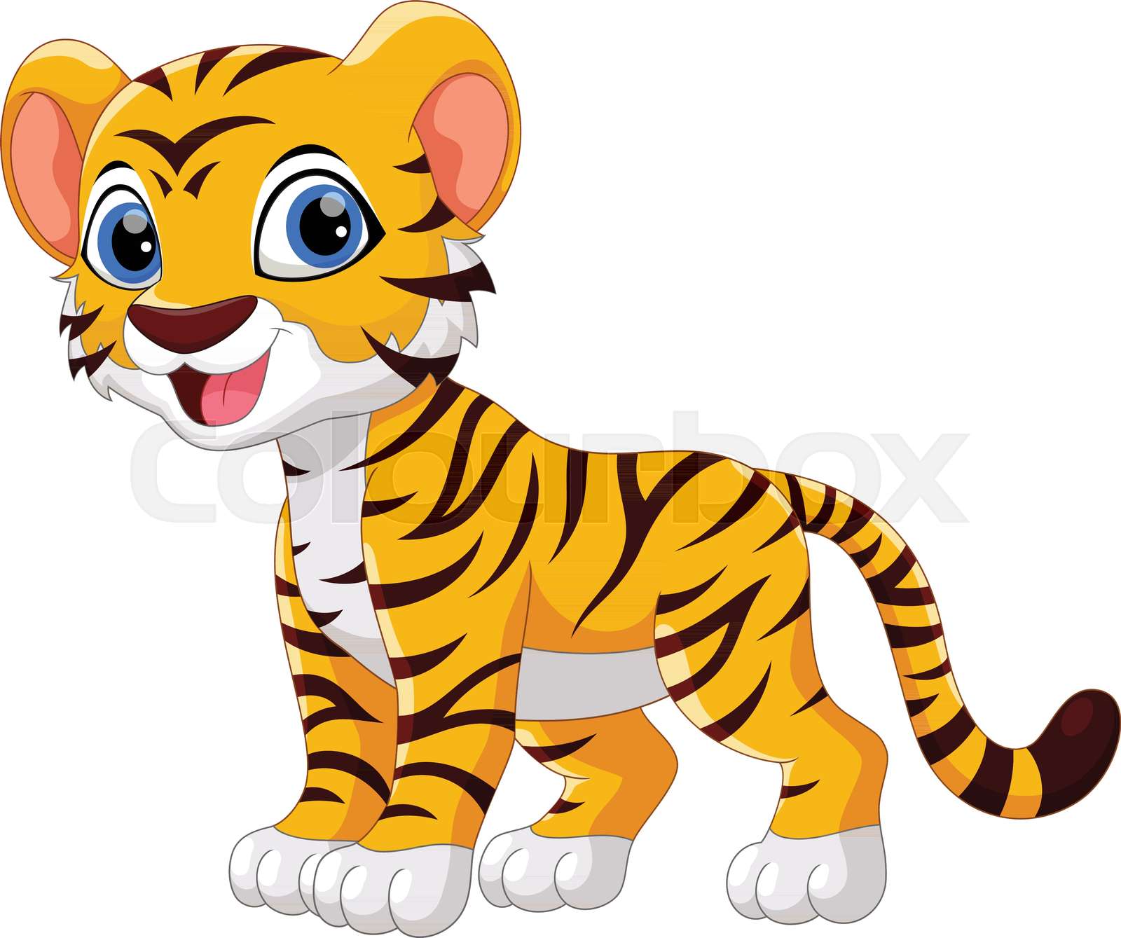 Detail Tiger Intelligence Nomer 6