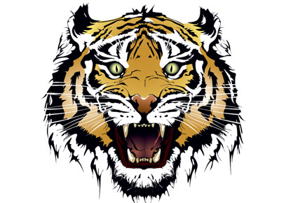 Detail Tiger Intelligence Nomer 7