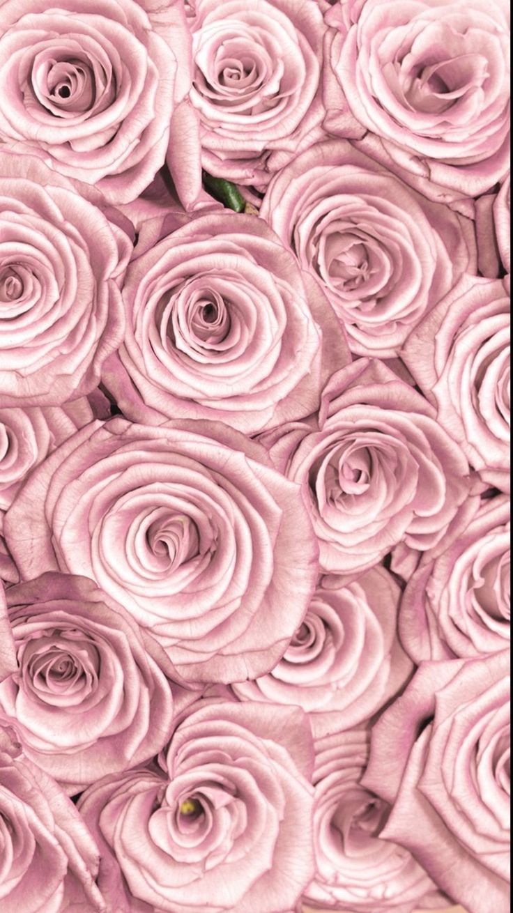 Detail Rose Gold Wallpaper Tumblr Nomer 15