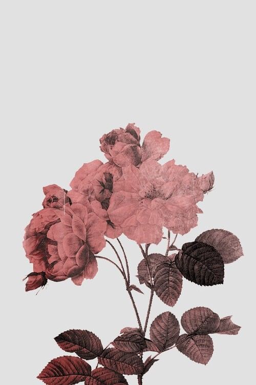 Detail Rose Gold Wallpaper Tumblr Nomer 44