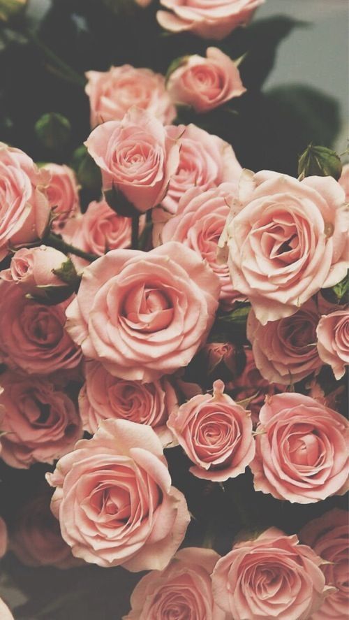 Detail Rose Gold Wallpaper Tumblr Nomer 50