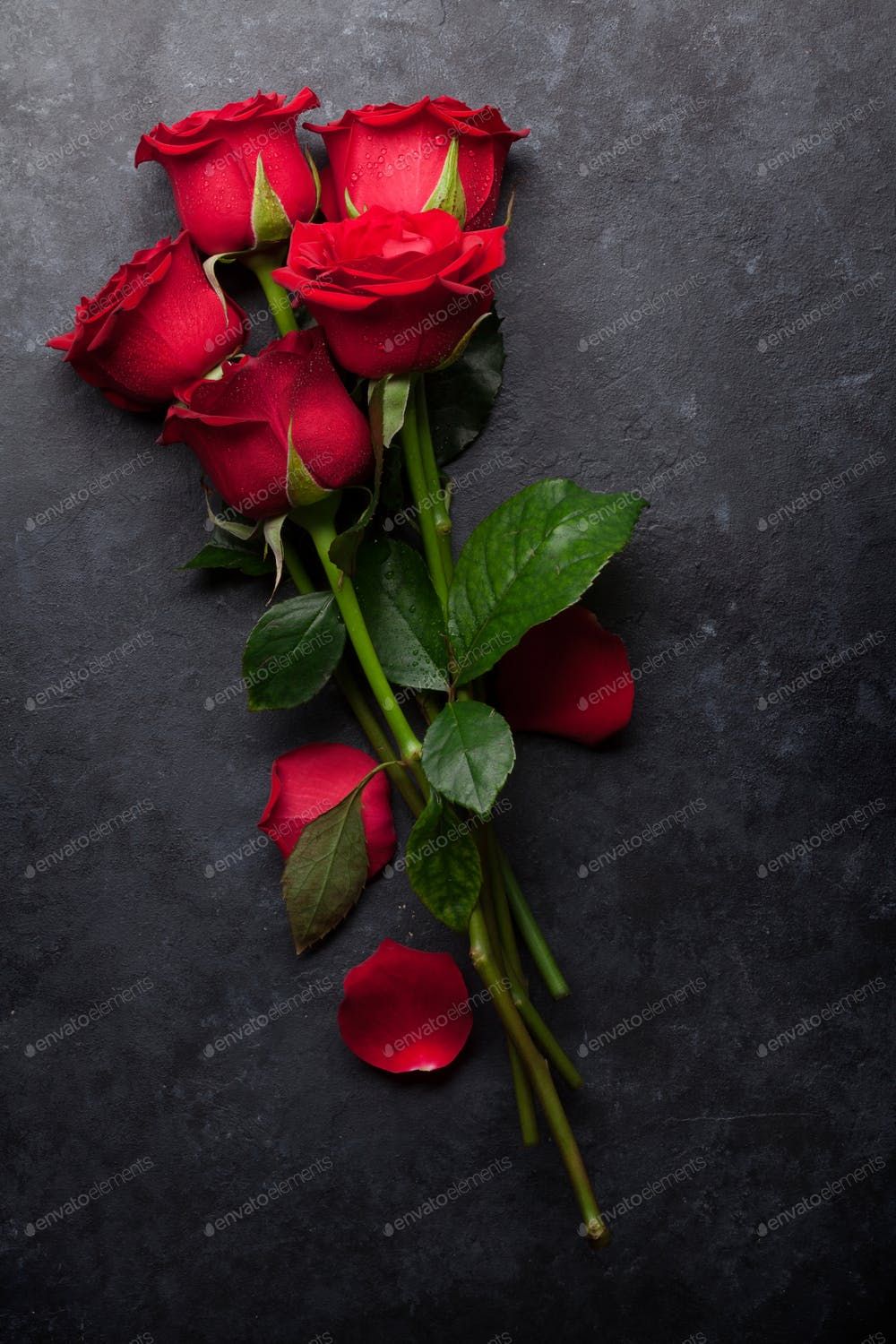 Detail Rose Image Download Nomer 16