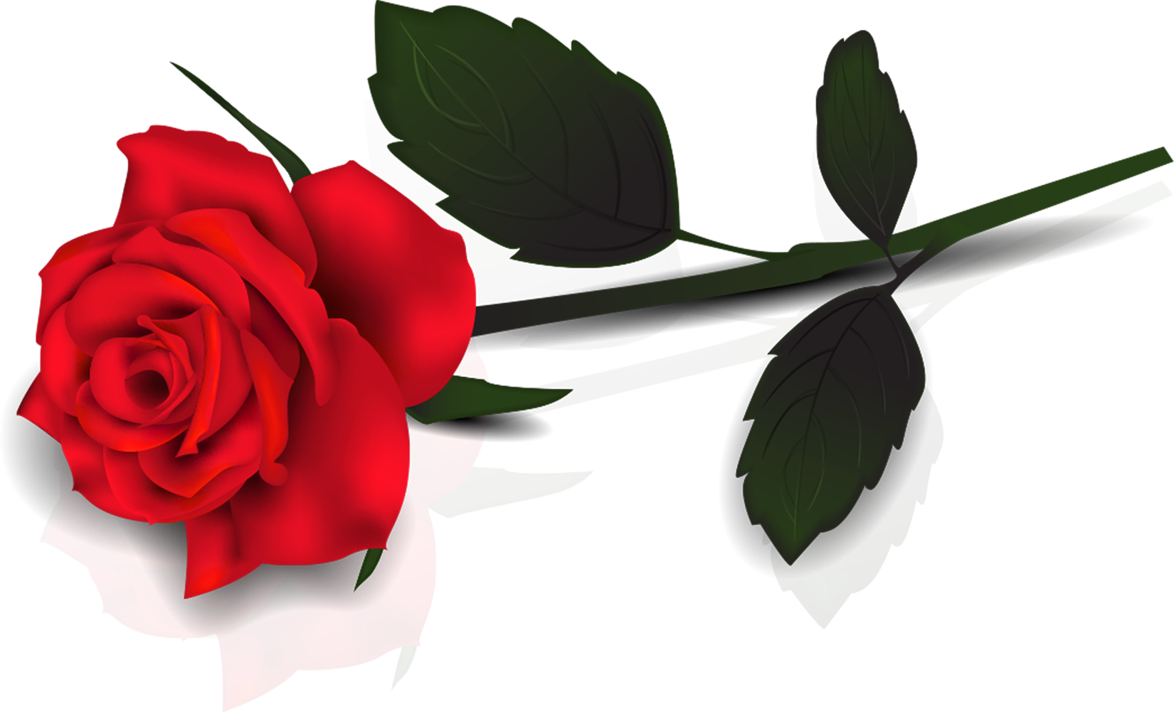 Detail Rose Image Png Nomer 6