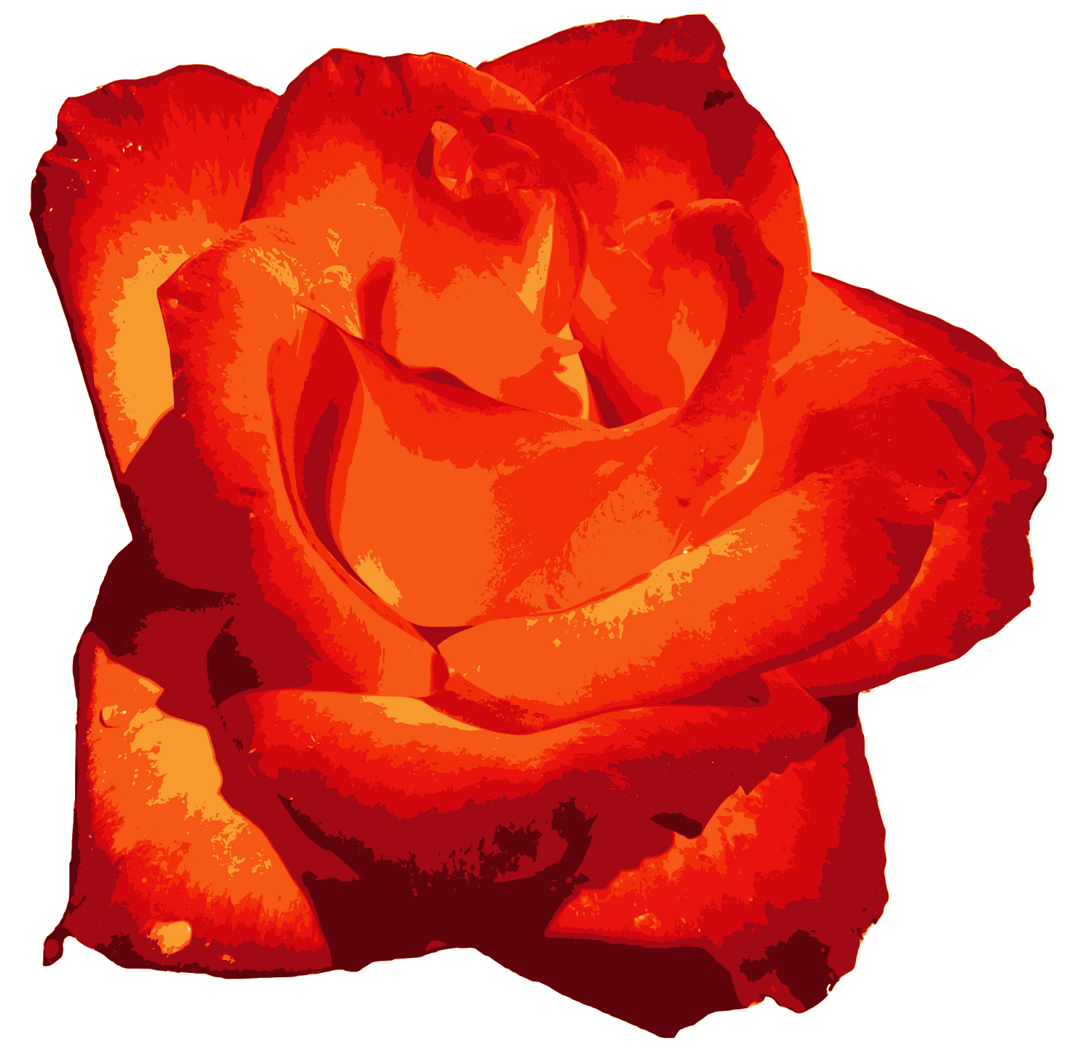 Detail Rose Image Png Nomer 25