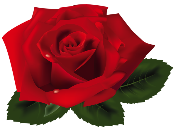 Detail Rose Image Png Nomer 4