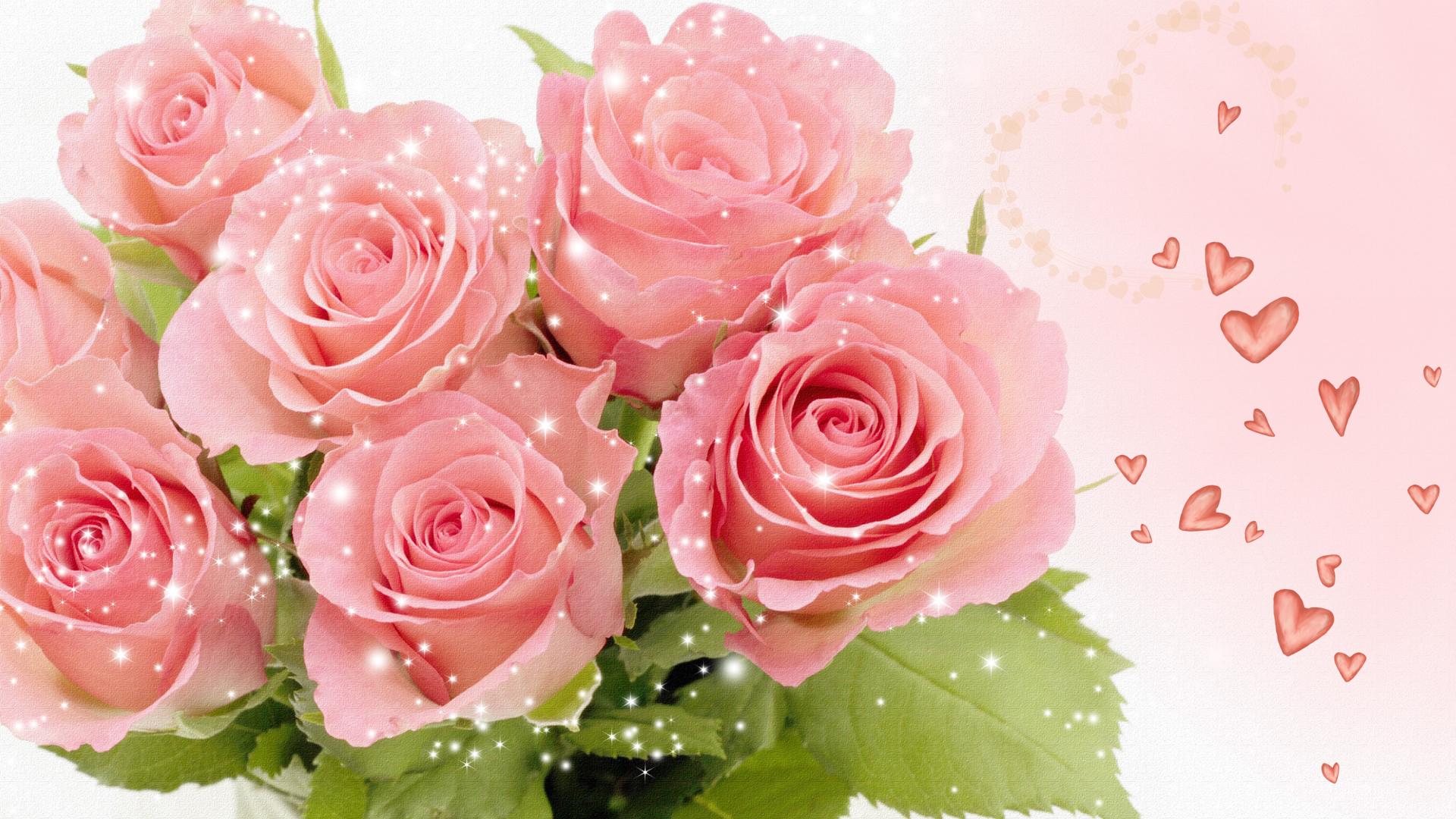 Detail Rose Images Download Nomer 30