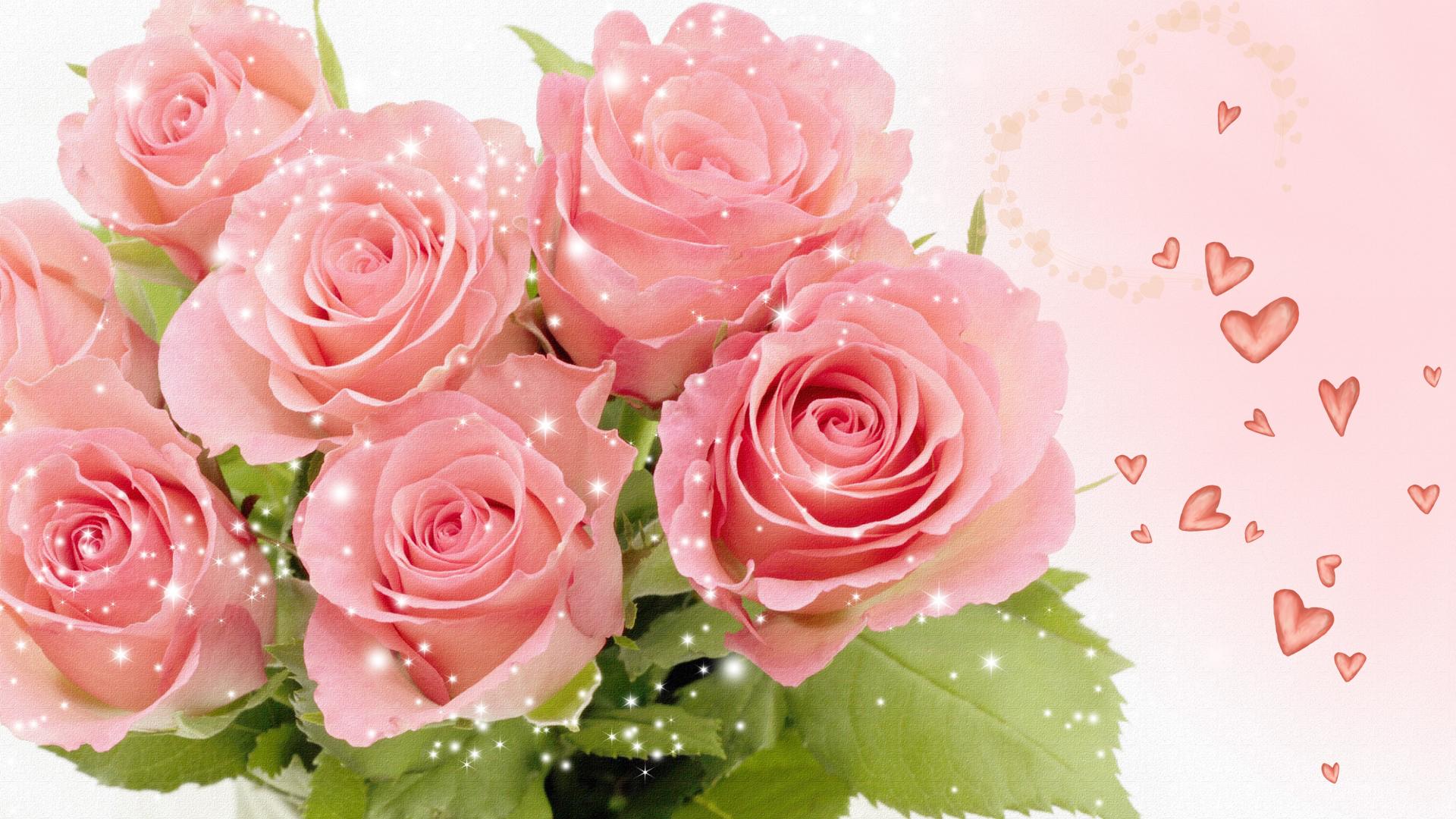 Detail Rose Images Downloads Nomer 17