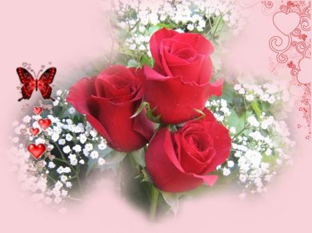Detail Rose Images Downloads Nomer 47