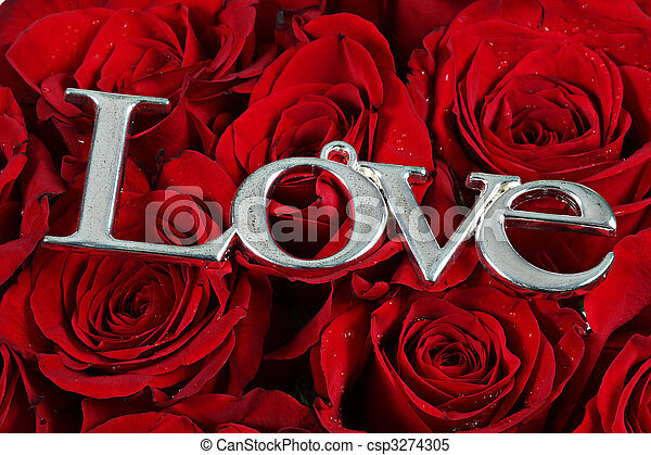 Detail Rose Love Images Nomer 16