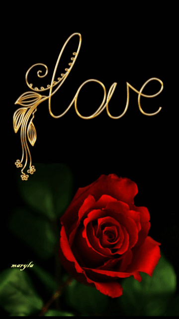 Detail Rose Love Images Nomer 33