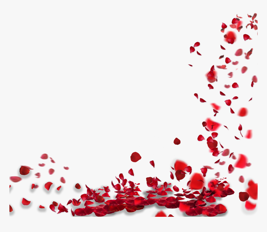 Detail Rose Petals Png Nomer 2