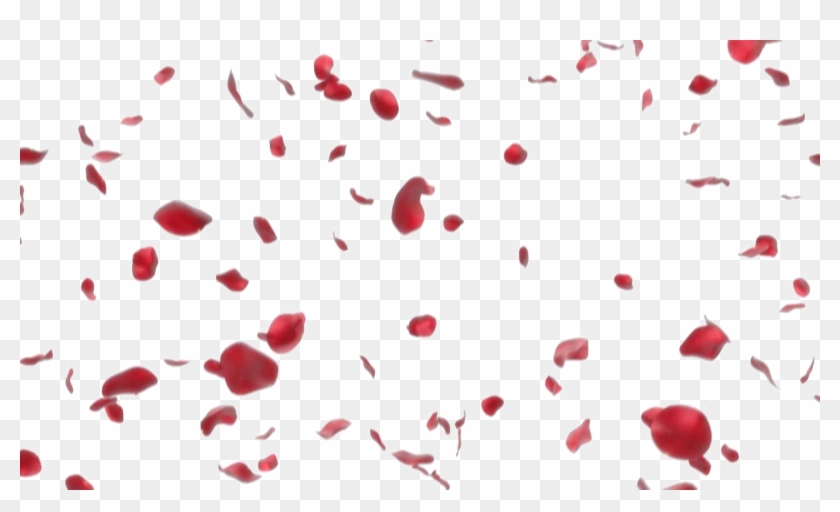 Detail Rose Petals Png Nomer 26