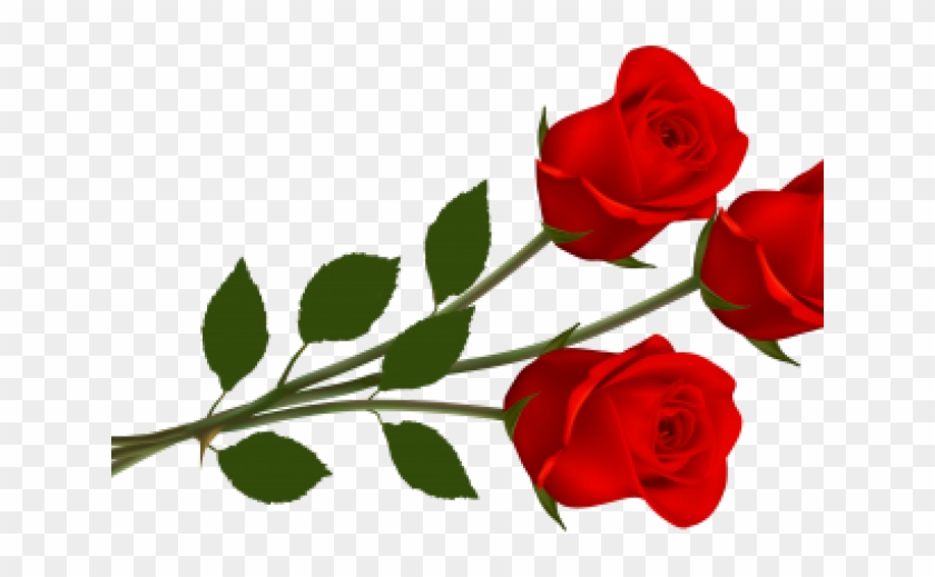 Detail Rose Png Hd Nomer 15