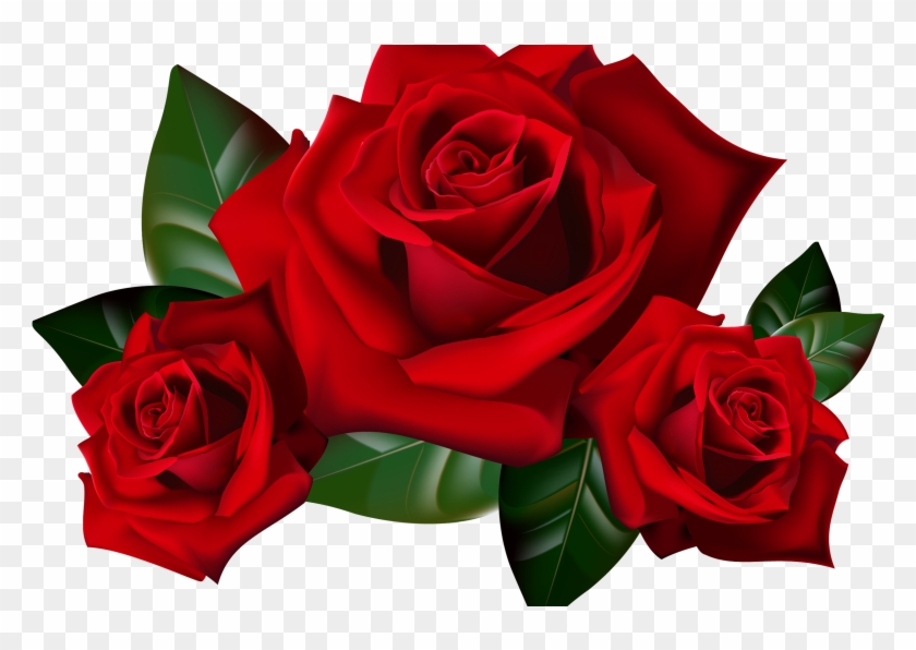 Detail Rose Png Hd Nomer 23