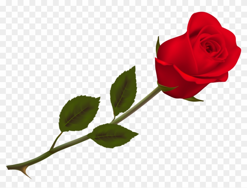 Detail Rose Png Hd Nomer 6