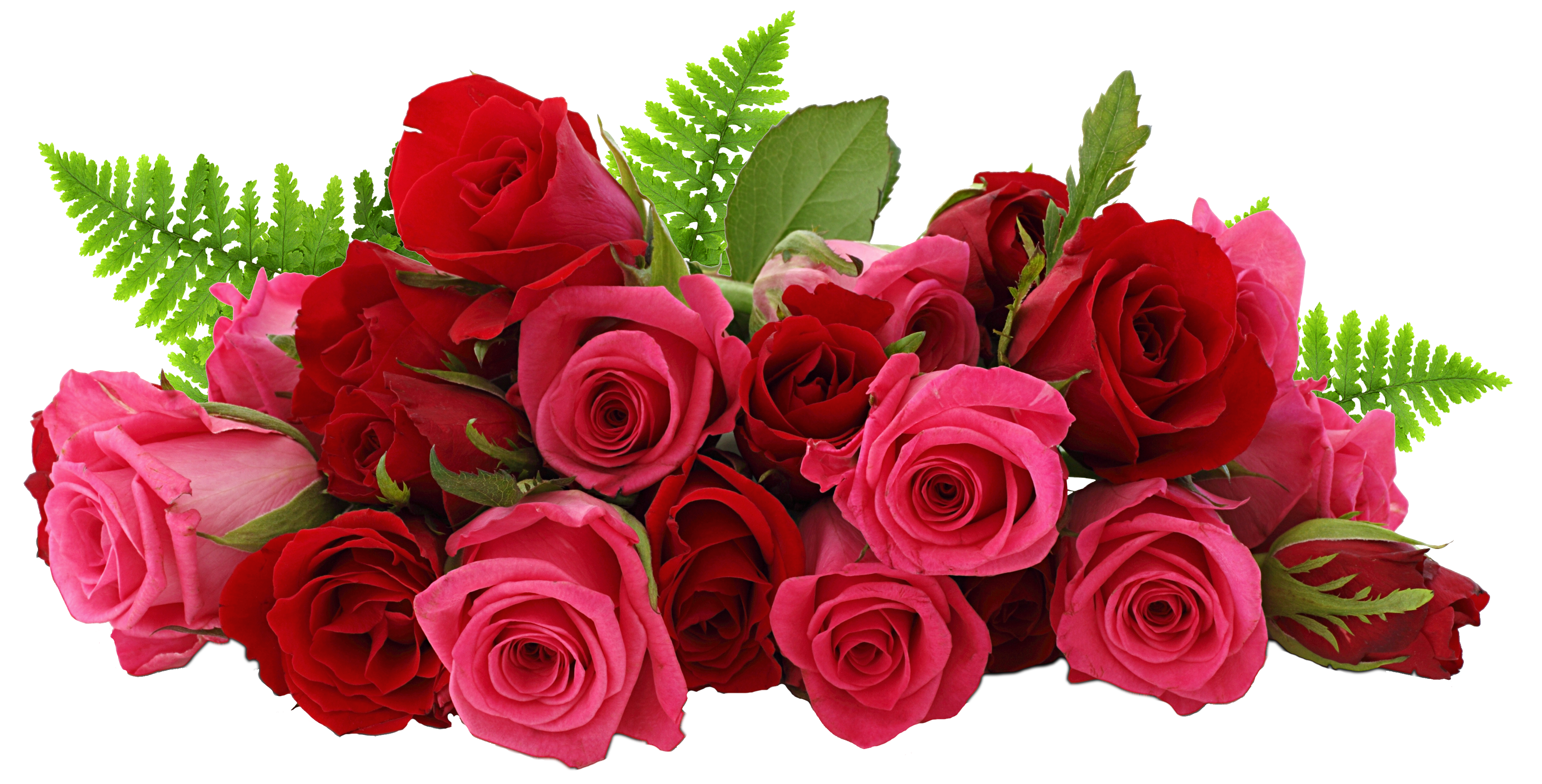 Detail Rose Png Image Nomer 23