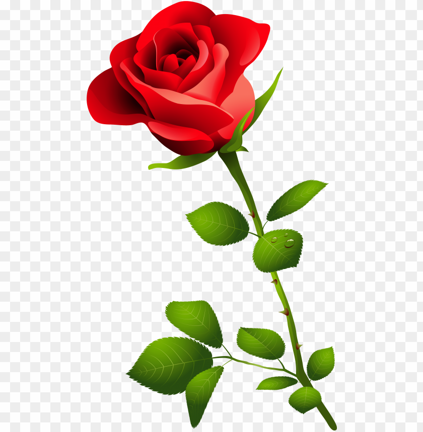 Detail Rose Png Images Nomer 6