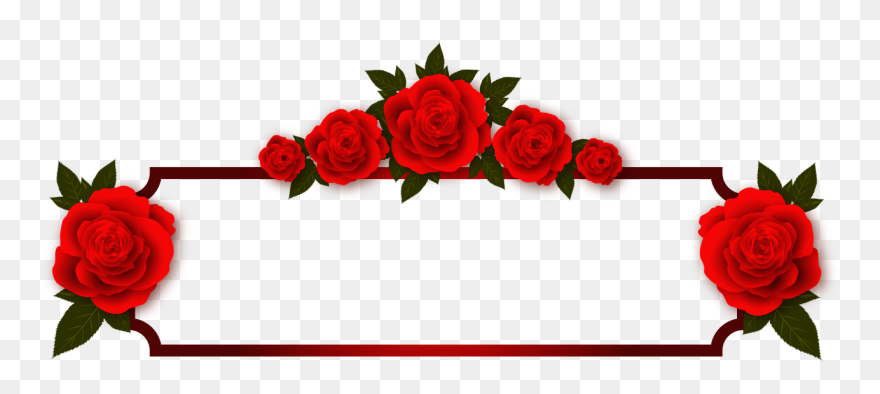 Detail Rose Png Transparent Background Nomer 36