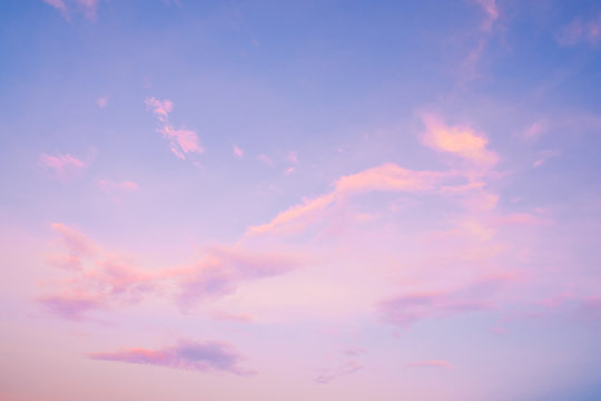 Detail Rose Quartz Serenity Wallpaper Nomer 35