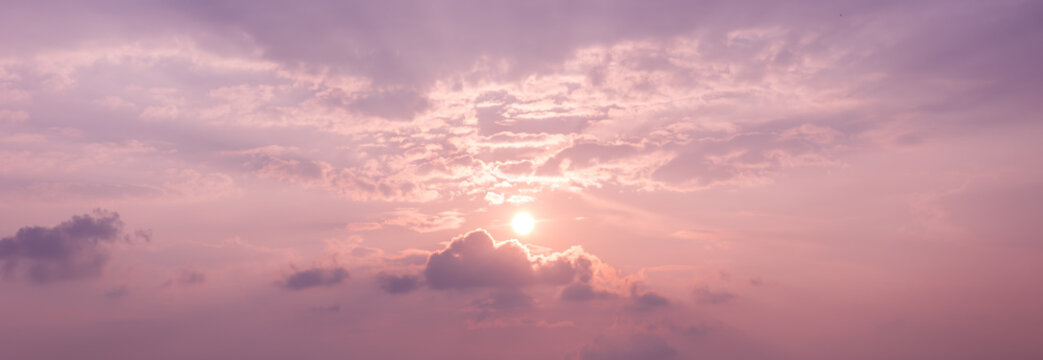 Detail Rose Quartz Serenity Wallpaper Nomer 37