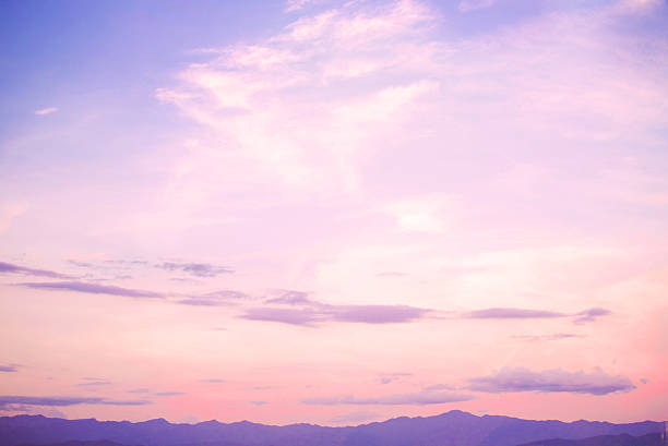 Detail Rose Quartz Serenity Wallpaper Nomer 9