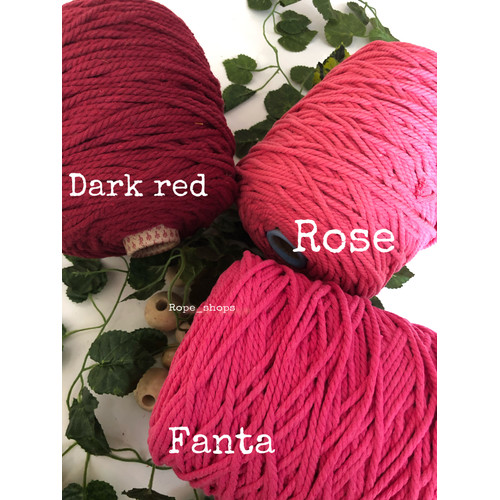 Detail Rose Red Warna Nomer 5