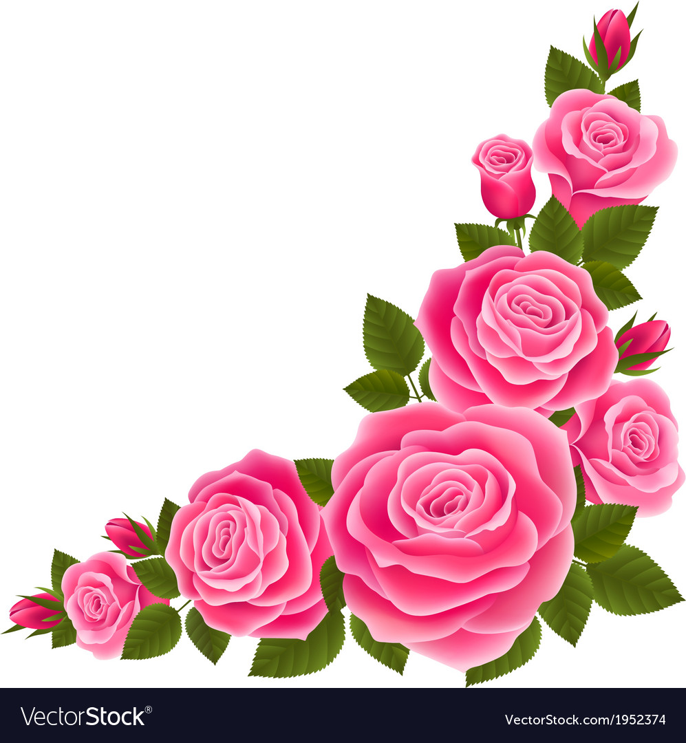 Detail Rose Royalty Free Nomer 49