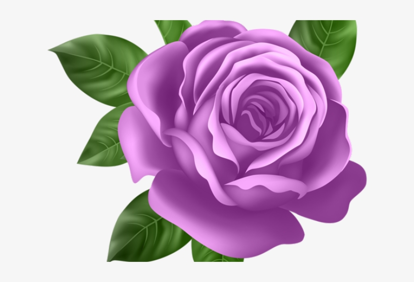 Detail Rose Transparent Background Nomer 28