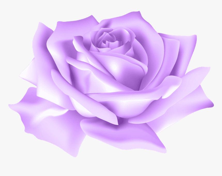 Detail Rose Transparent Background Nomer 38