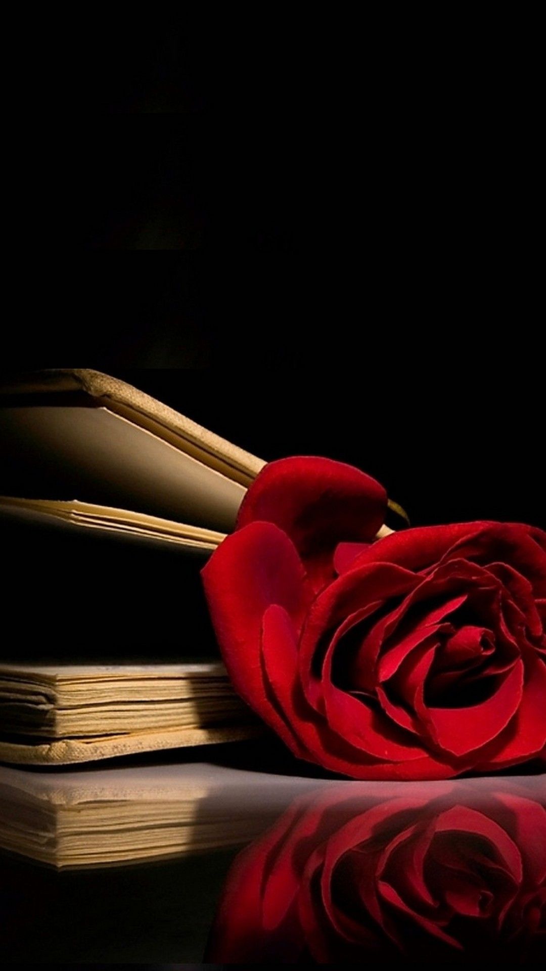 Detail Rose Wallpaper Hd Nomer 8