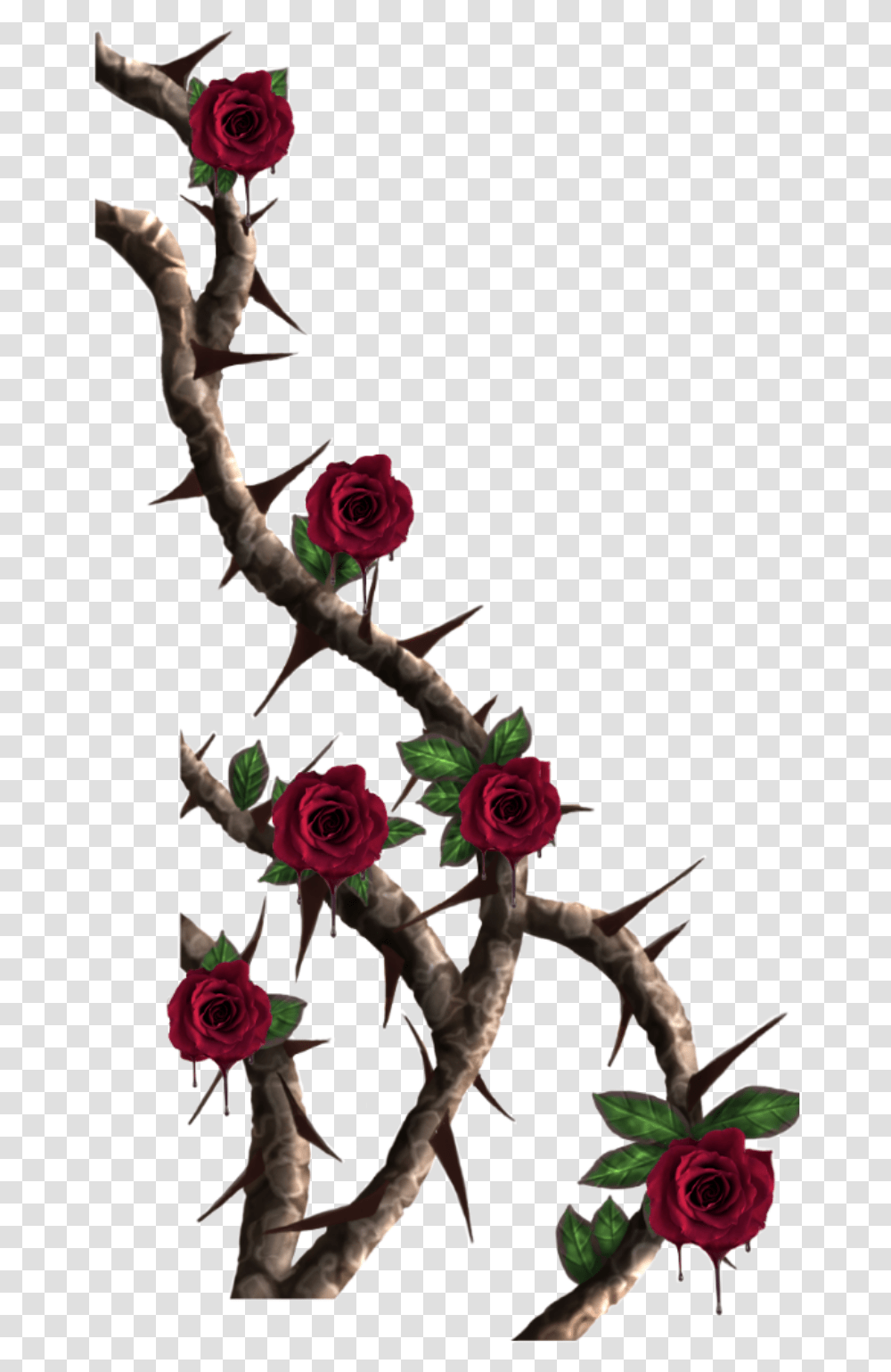 Detail Rose With Thorns Nomer 24