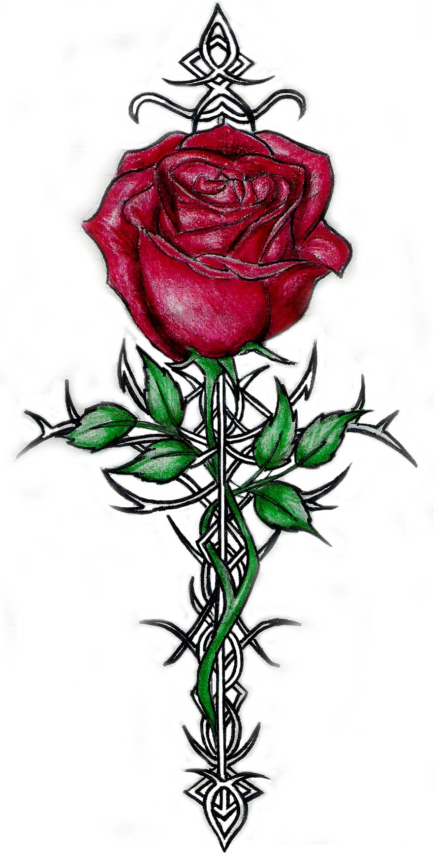 Detail Rose With Thorns Nomer 25