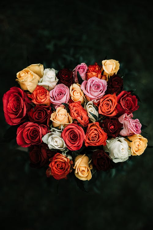 Detail Roses Bouquet Images Free Download Nomer 29