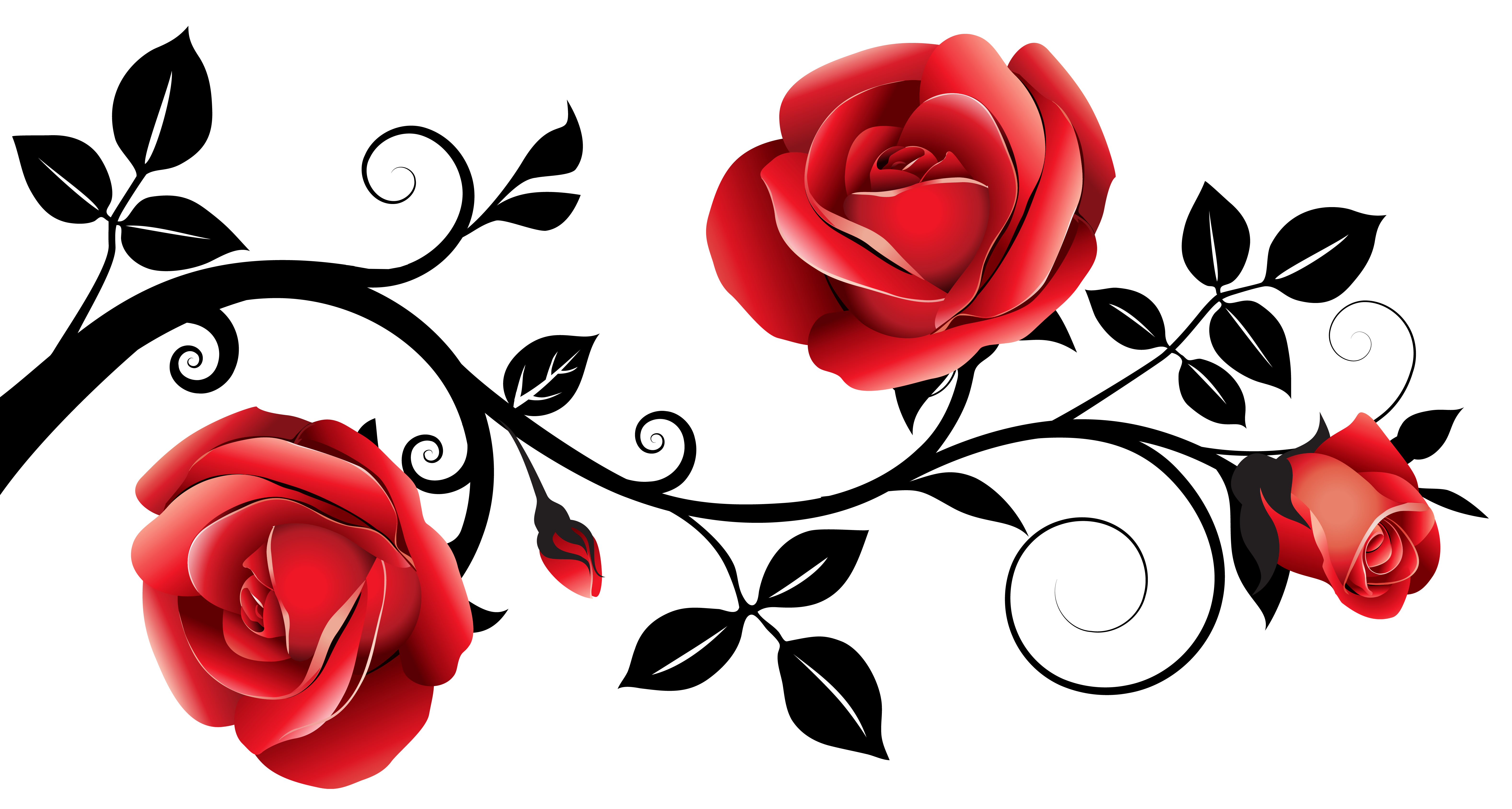 Detail Roses Clipart Nomer 11