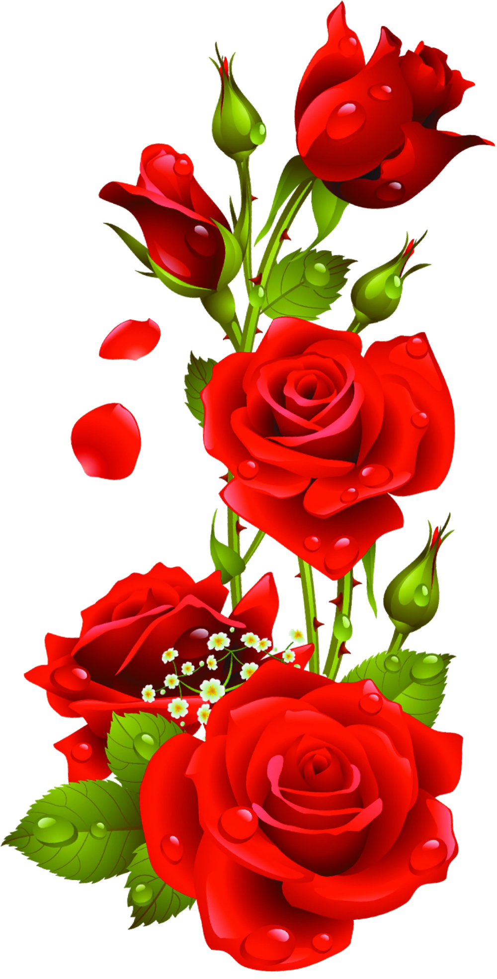 Detail Roses Flower Wallpapers Nomer 3