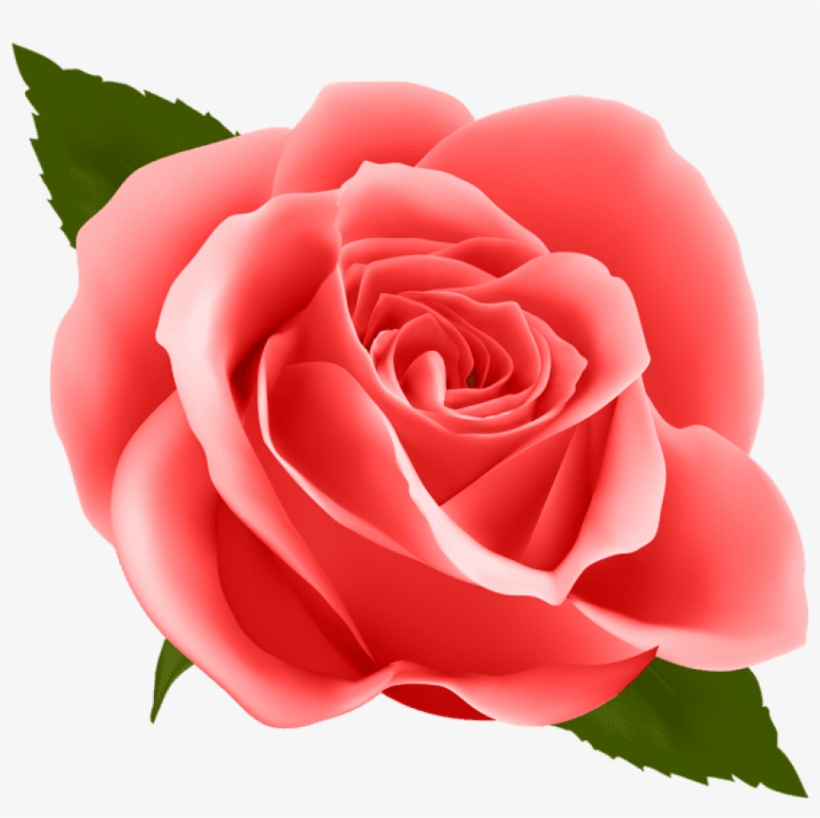 Detail Roses Free Download Nomer 41