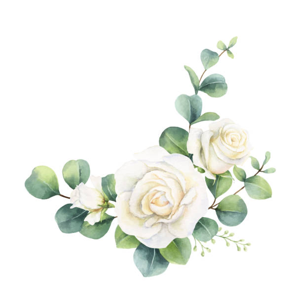 Detail Roses Graphics Free Nomer 46