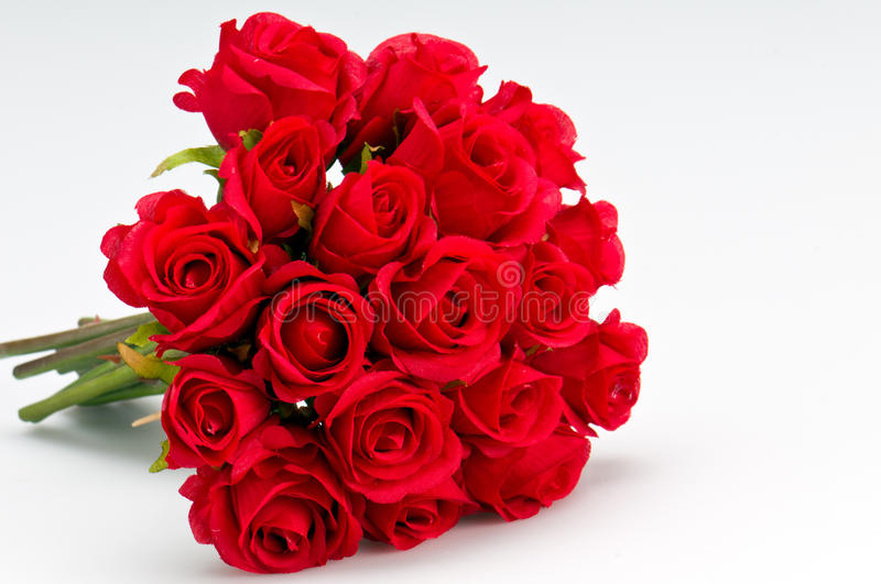 Detail Roses Pictures Download Nomer 34