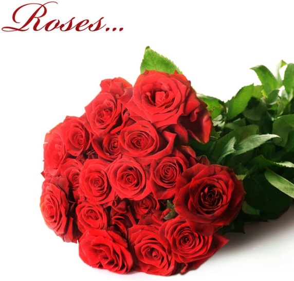 Detail Roses Pictures Download Nomer 37
