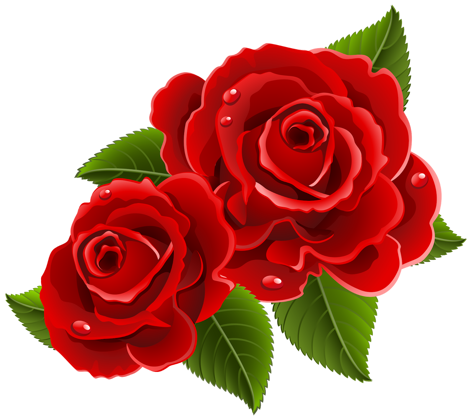 Detail Roses Pictures Download Nomer 40