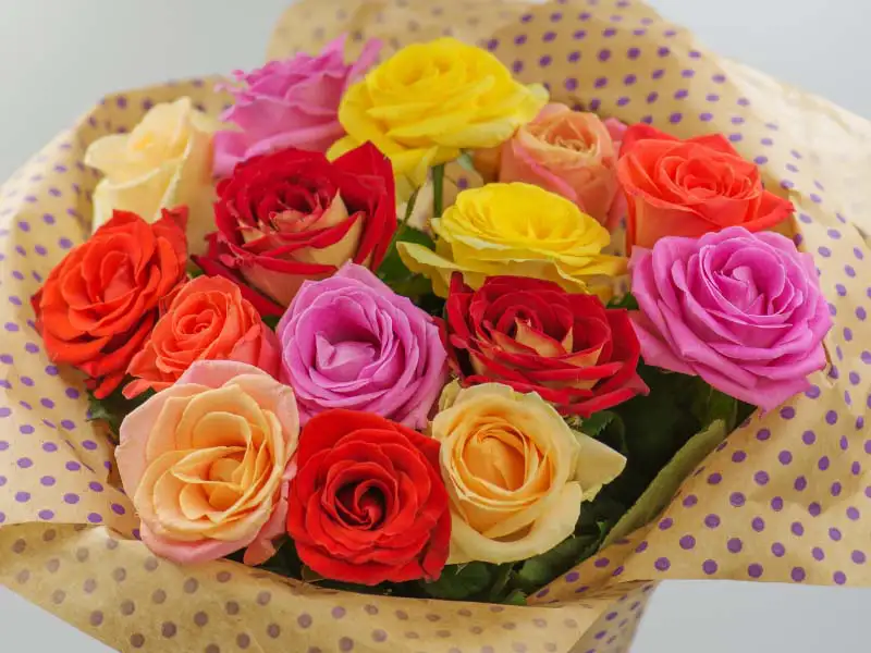 Detail Roses Pix Nomer 46