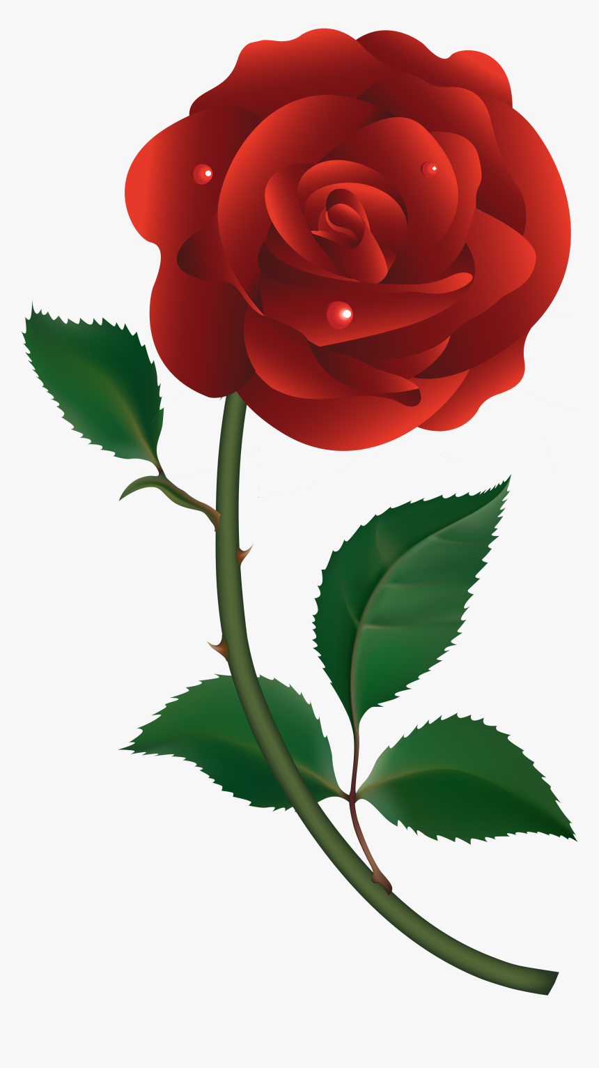 Detail Roses Png Transparent Nomer 7