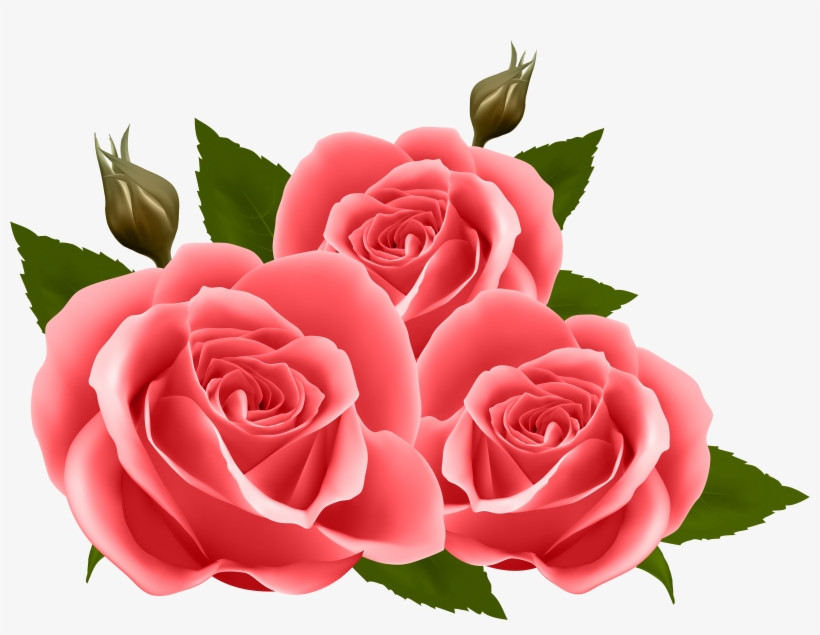 Detail Roses Png Transparent Nomer 16