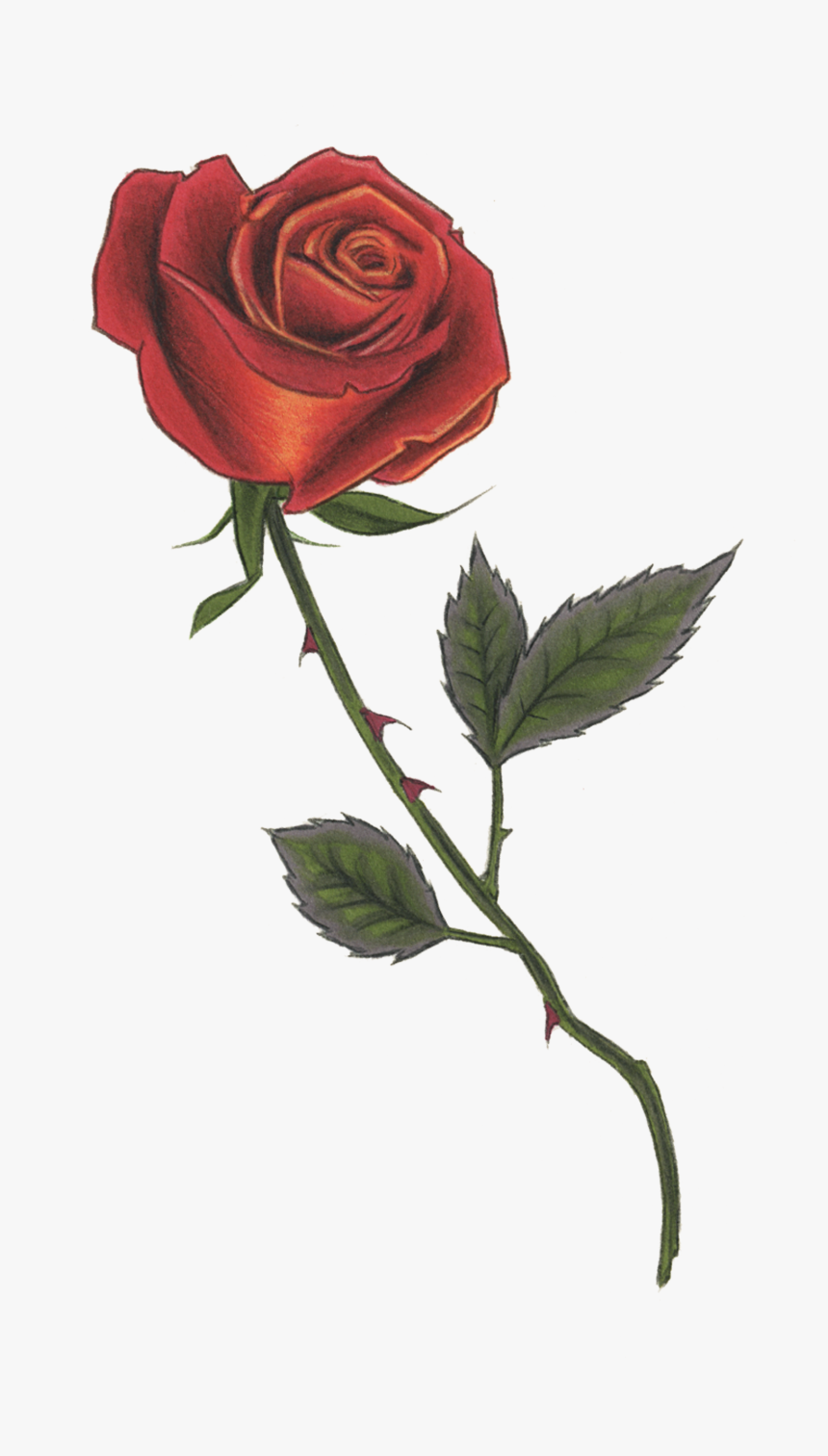 Detail Roses Png Transparent Nomer 19