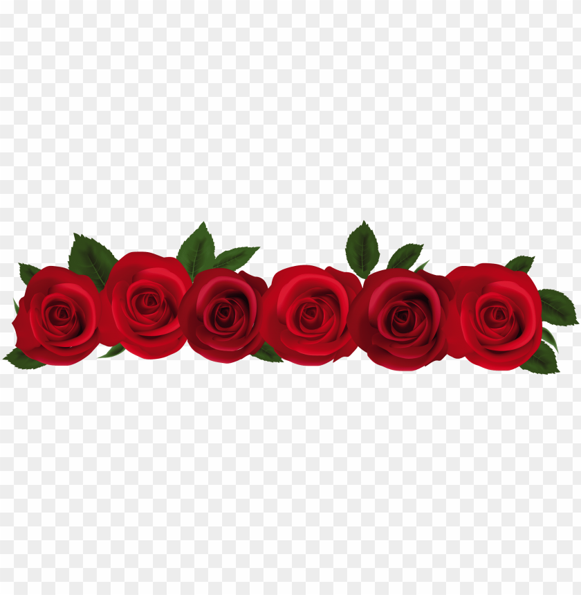 Detail Roses Png Transparent Nomer 26