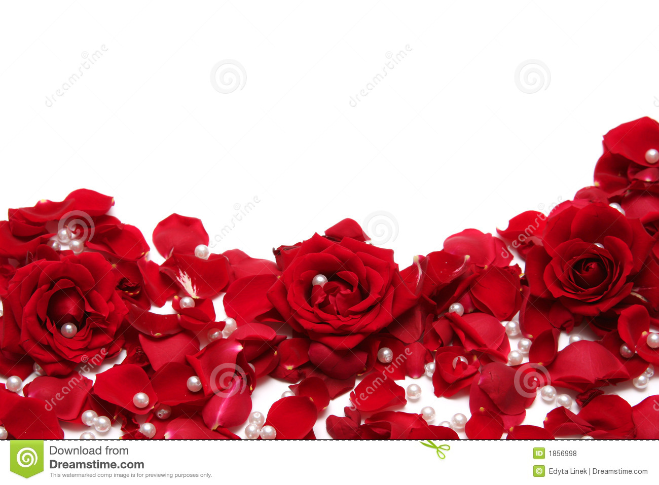 Detail Roses Royalty Free Nomer 22