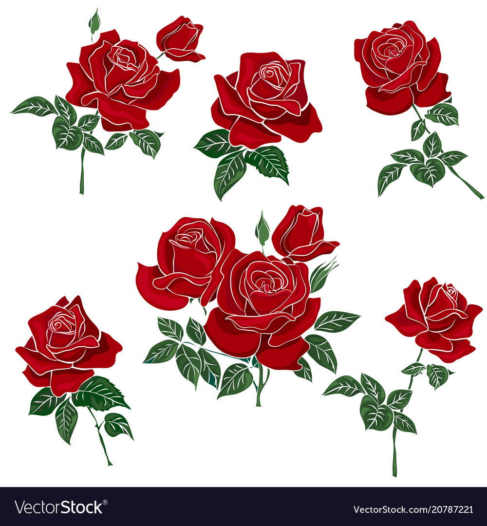 Detail Roses Royalty Free Nomer 24