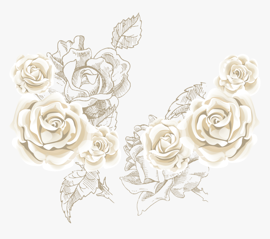 Detail Roses Transparent Background Nomer 32